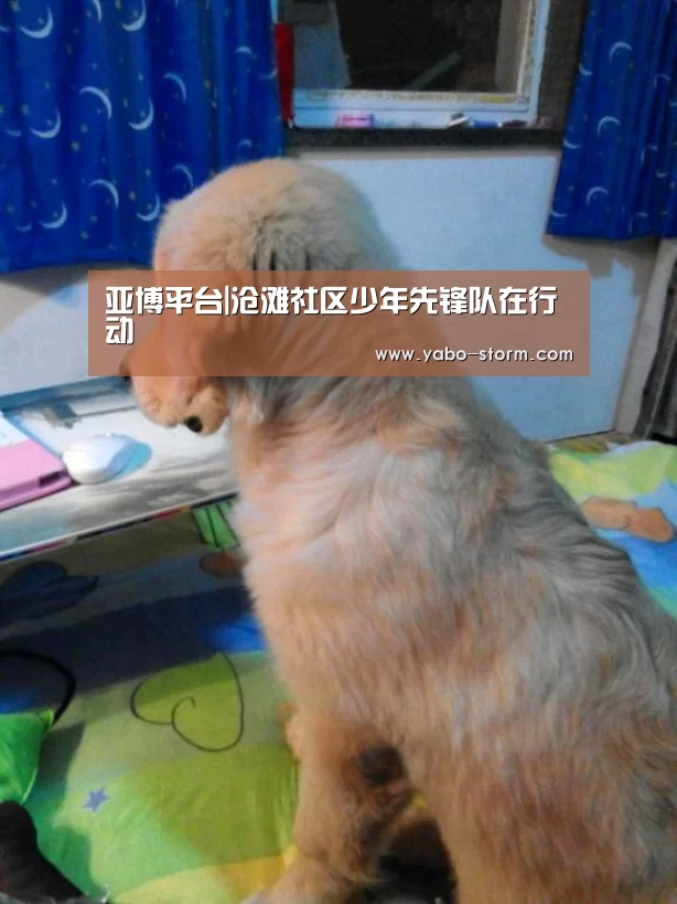 亚博娱乐