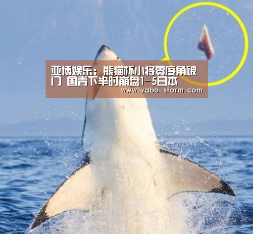 亚博平台